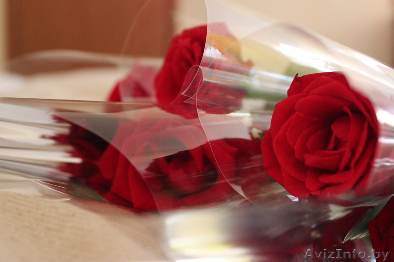 Фото услуги на любые темы фото съёмок - Изображение #1, Объявление #954641