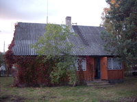 Дом в сосновом лесу - Изображение #1, Объявление #23861