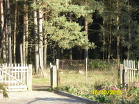 Продам дом на хуторе (возможен обмен) - Изображение #3, Объявление #320340