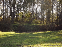 Дача "Лесная поляна" - Изображение #3, Объявление #459524