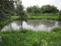 Продается дом-дача в деревне Вольковщина - Изображение #5, Объявление #986501