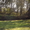 Дача "Лесная поляна" - Изображение #3, Объявление #459524