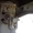 Полуприцеп платформа тентовая SAMRO - Изображение #5, Объявление #1653264