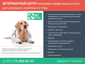Ветеринарная помощь для ваших любимых питомцев. - Изображение #1, Объявление #1488850
