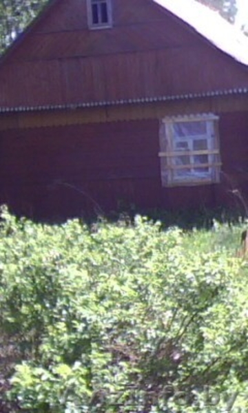 Продам сельский дом с х\п. - Изображение #2, Объявление #283324