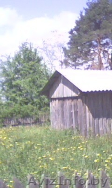 Продам сельский дом с х\п. - Изображение #8, Объявление #283324