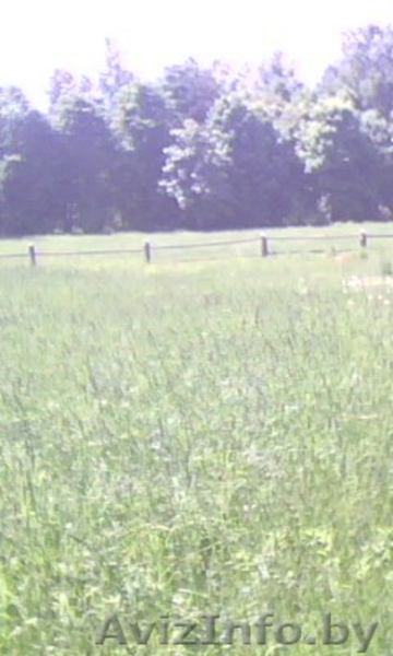 Продам сельский дом с х\п. - Изображение #7, Объявление #283324