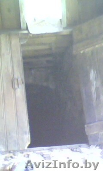 Продам сельский дом с х\п. - Изображение #6, Объявление #283324