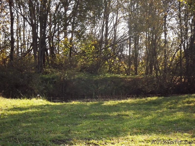 Дача "Лесная поляна" - Изображение #3, Объявление #459524