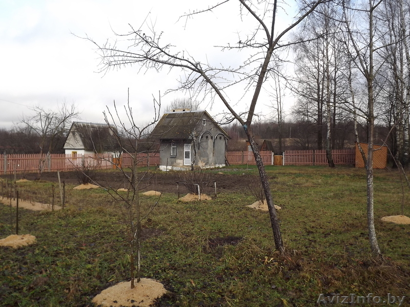 Дача "Лесная поляна" - Изображение #1, Объявление #459524