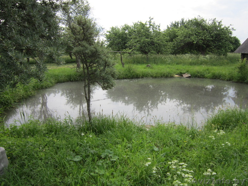 Продается дом-дача в деревне Вольковщина - Изображение #5, Объявление #986501